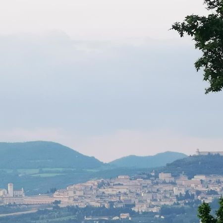 La Casa Dei Tigli Panzió Cannara Kültér fotó