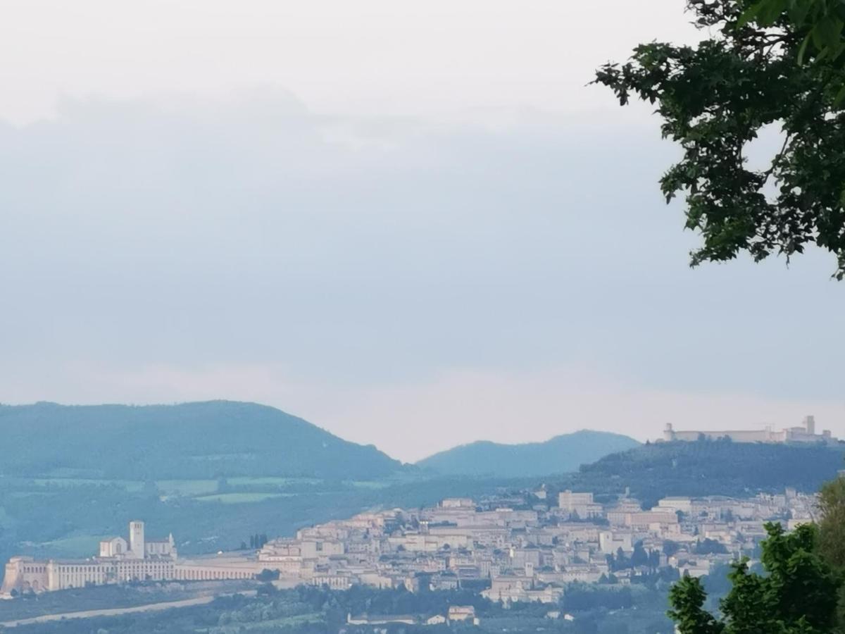 La Casa Dei Tigli Panzió Cannara Kültér fotó