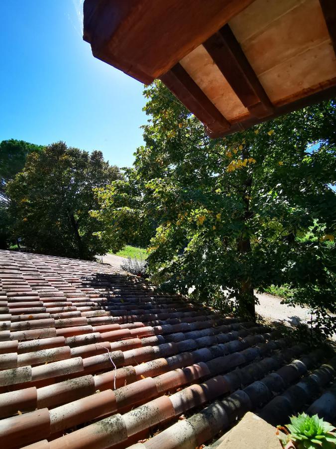 La Casa Dei Tigli Panzió Cannara Kültér fotó