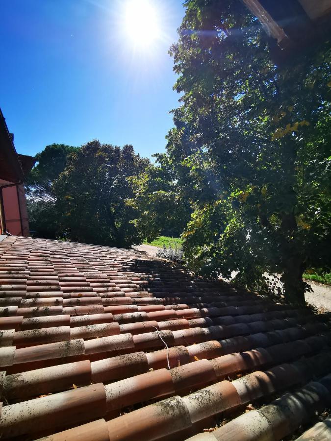 La Casa Dei Tigli Panzió Cannara Kültér fotó