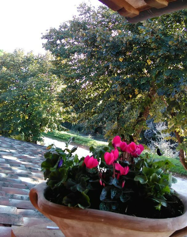 La Casa Dei Tigli Panzió Cannara Szoba fotó